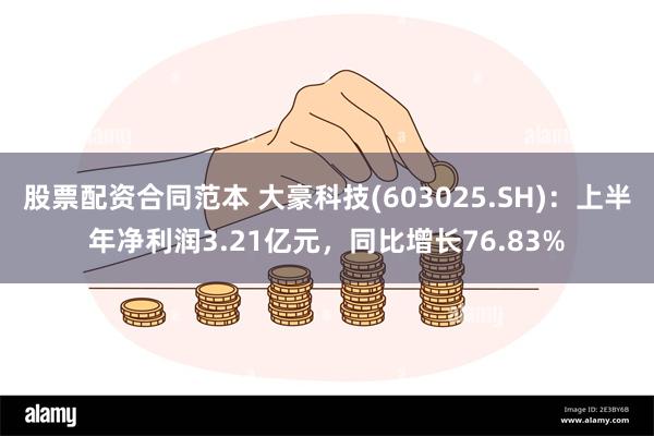 股票配资合同范本 大豪科技(603025.SH)：上半年净利润3.21亿元，同比增长76.83%