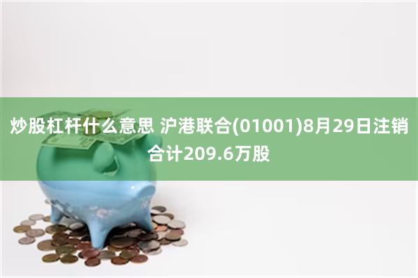 炒股杠杆什么意思 沪港联合(01001)8月29日注销合计209.6万股