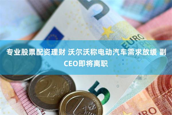 专业股票配资理财 沃尔沃称电动汽车需求放缓 副CEO即将离职