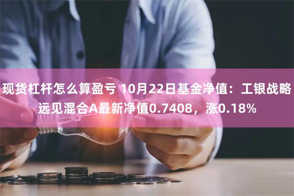 现货杠杆怎么算盈亏 10月22日基金净值：工银战略远见混合A最新净值0.7408，涨0.18%