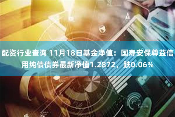 配资行业查询 11月18日基金净值：国寿安保尊益信用纯债债券最新净值1.2872，跌0.06%