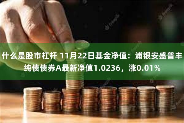 什么是股市杠杆 11月22日基金净值：浦银安盛普丰纯债债券A最新净值1.0236，涨0.01%