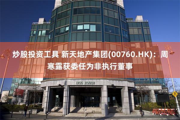 炒股投资工具 新天地产集团(00760.HK)：周寒露获委任为非执行董事