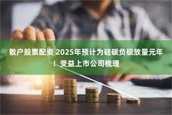 散户股票配资 2025年预计为硅碳负极放量元年！受益上市公司梳理