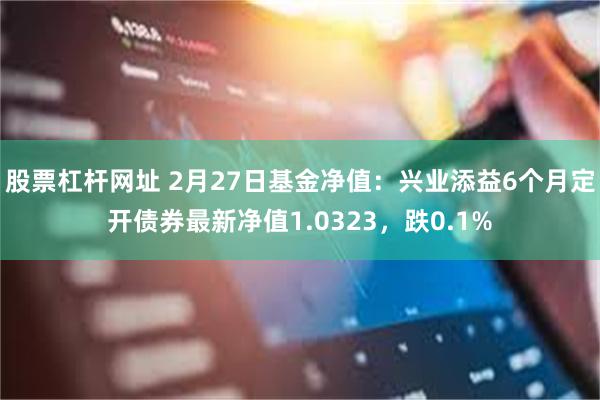 股票杠杆网址 2月27日基金净值：兴业添益6个月定开债券最新净值1.0323，跌0.1%