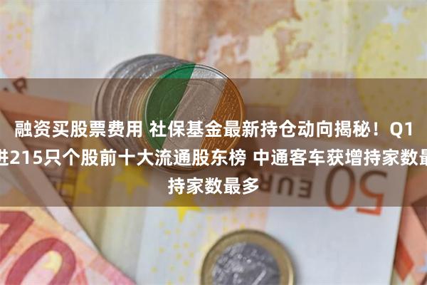 融资买股票费用 社保基金最新持仓动向揭秘！Q1新进215只个股前十大流通股东榜 中通客车获增持家数最多